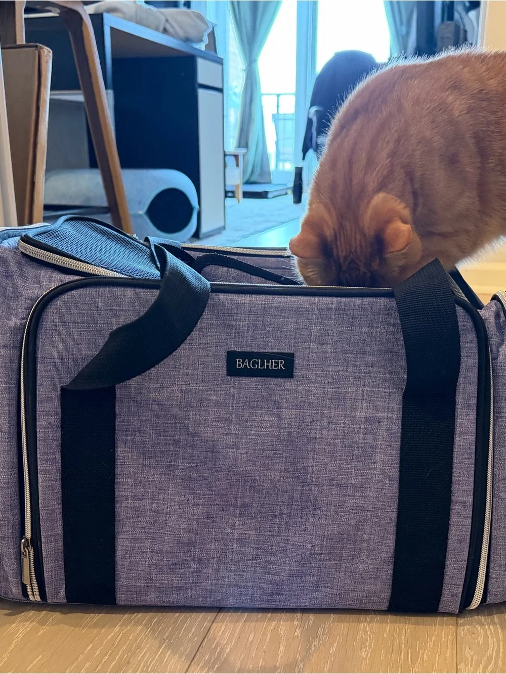 Portable Black Cat Carrier Soft-Sided Pet Travel Bag
